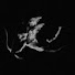 vYeZ7-Uq8GI-channel-avatar-Amour