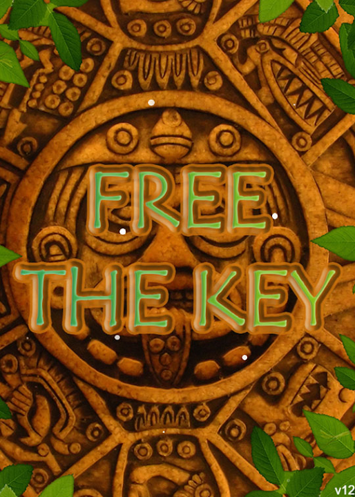 Free The Key — cover art