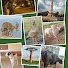 BwEuGu_lY6g-channel-avatar-APS.50SP