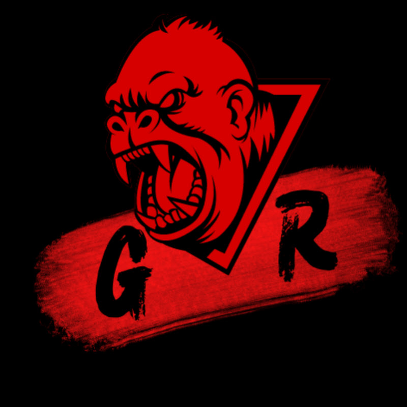 GamerRyze