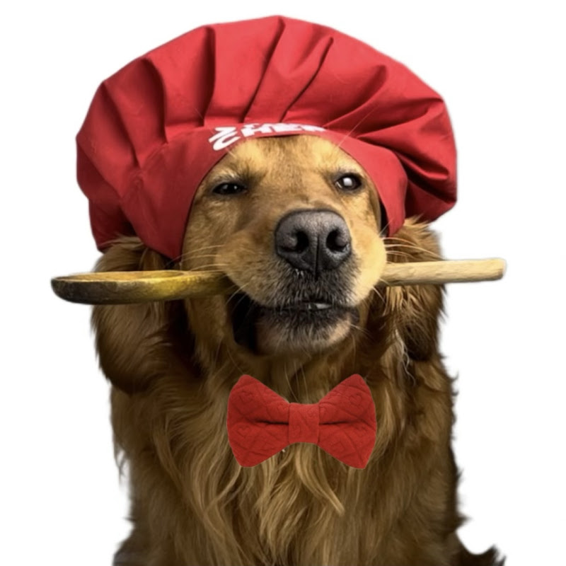 Tony & Mahsa Cooking