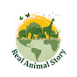 Animal Story logo