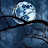 @moonlight__04-j1o