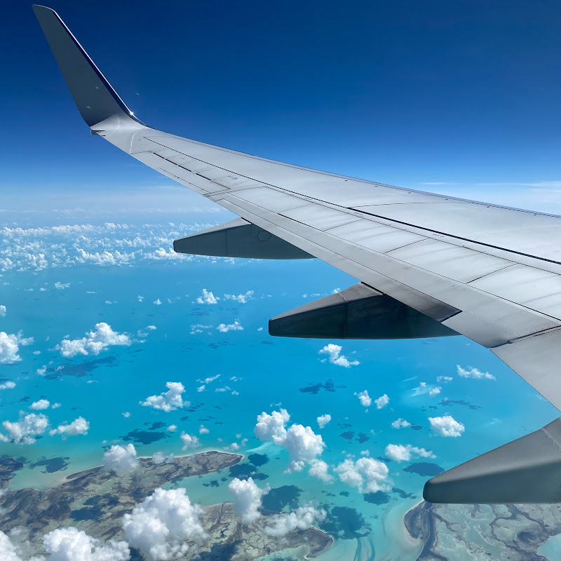 EdKane International Male