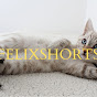 felixshorts logo