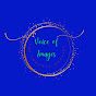 Voice of Images "The Immense Reality" logo