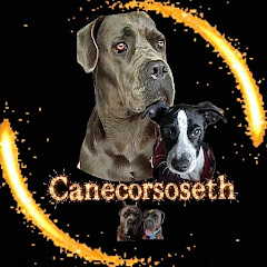 canecorsoseth