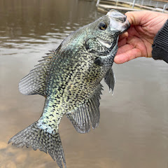 Trinity Outdoors TN