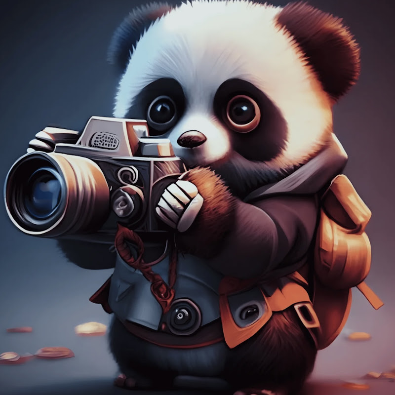 차이나쇼츠