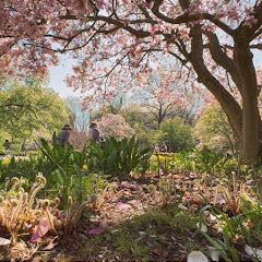🚕 Walking New York City