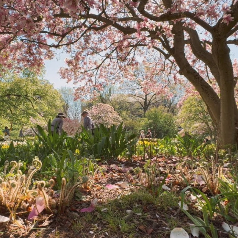 🚕 Walking New York City