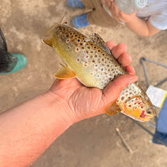 fly fishing