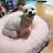 @대구경북에서1찍-p8p