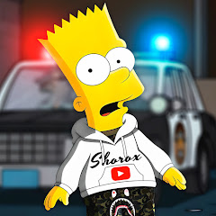Mr.Shorox