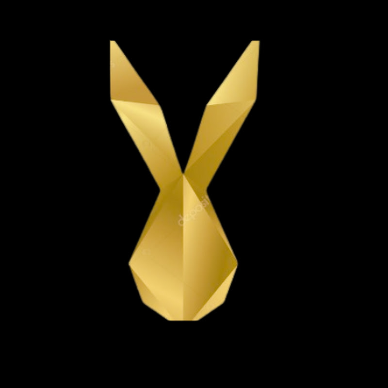 rabbitcha money