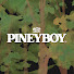 UlsU4SLPjes-channel-avatar-Pineyboy