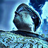 p7zOG56Pwek-channel-avatar-A WOODFORD PHOTOGRAPHY