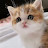 @بالقرآننحيا-ش5ض