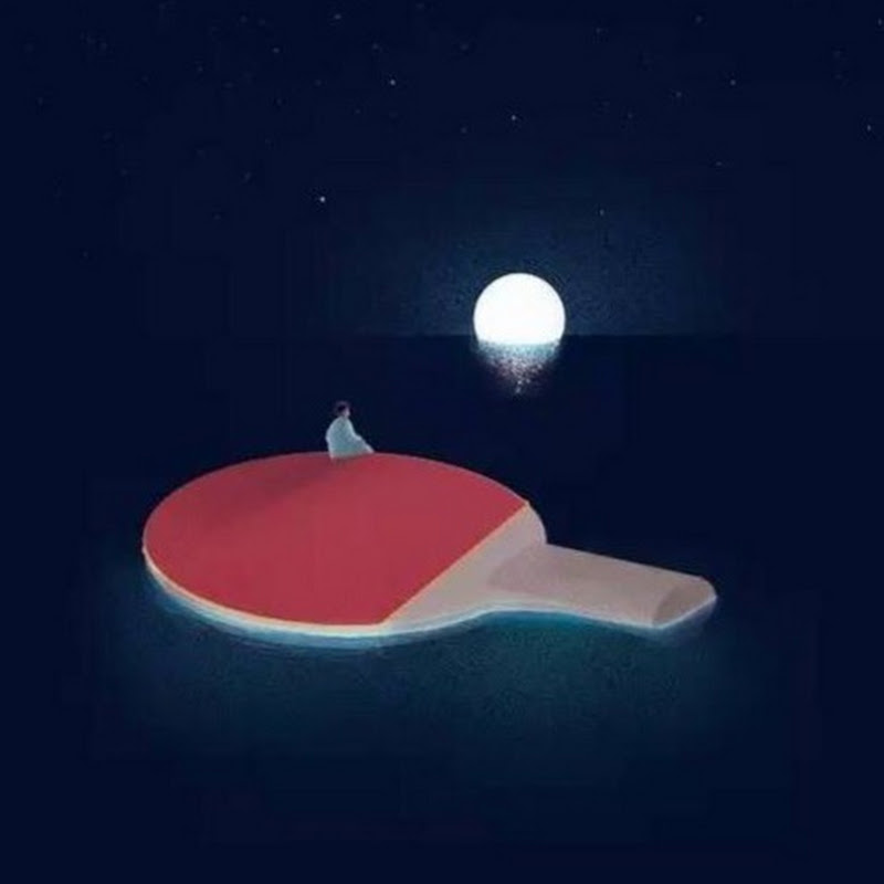 每天涨一球 Logo