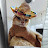 @rocmo656 Avatar