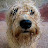 @Roger_Riera Avatar