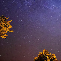 Mr. Reddito Animated