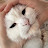 @고코넛-q6g