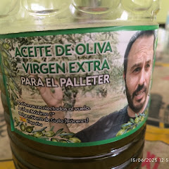 Juanvi Palleter