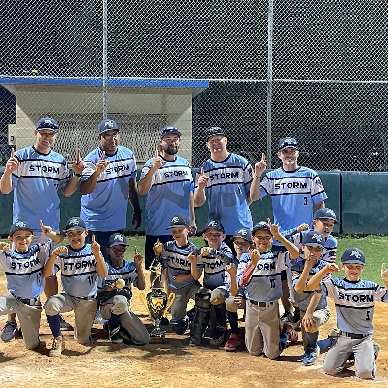 Bwade STORM Baseball