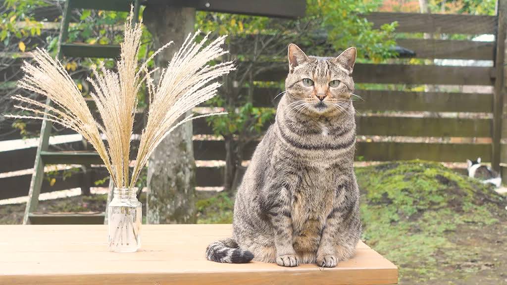 maruさま2029 mqdefault.jpg