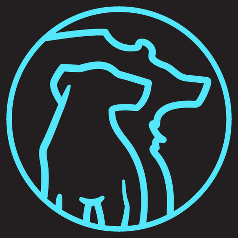 Bear Marketing