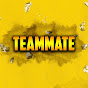 TeamMate logo