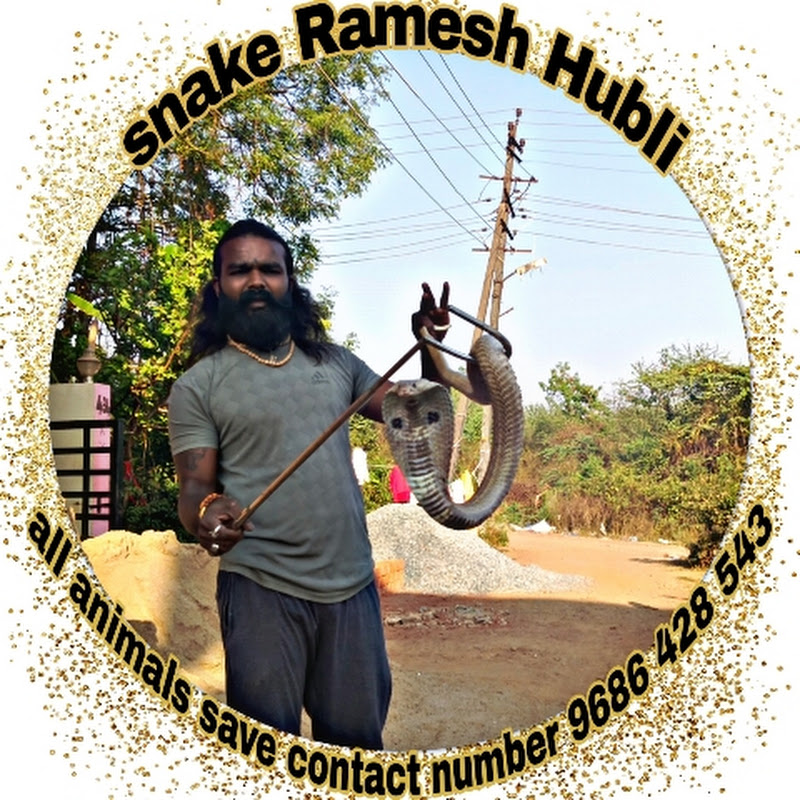 Snake Ramesh Hubli