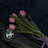 @Rawda_24