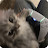 Avatar photo