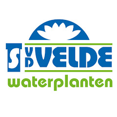 Van der Velde Waterplanten