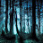 @darkforest33's avatar