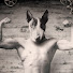 jMVK9ar6RsU-channel-avatar-Bullseye Strength