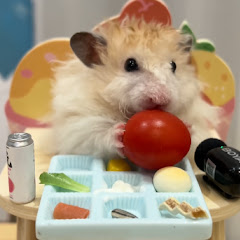 田園小萌寵Pastoral Pets