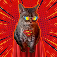 Super Gatos