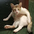 Channel Image