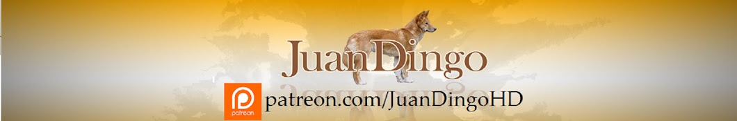 JuanDingoHD YouTube channel avatar