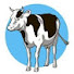 MxOtV_2cfag-channel-avatar-Cow!?