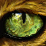 WwVwdHJzekc-channel-avatar-L0ST