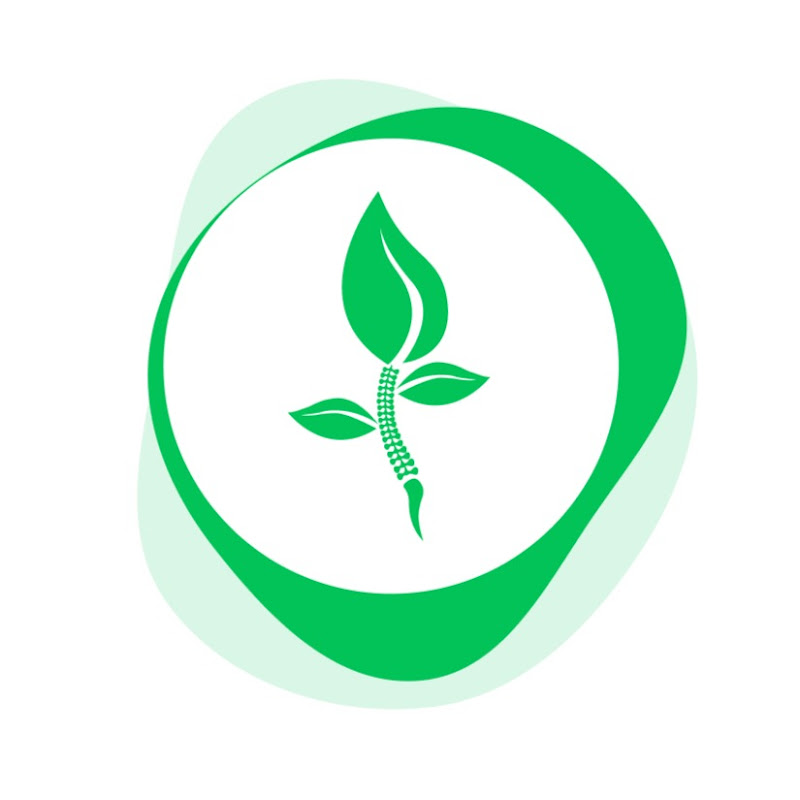 Healthy Movement - back and joint health Logo