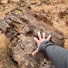 kYTCHa80gAI-channel-avatar-Wyoming Earth Treasures