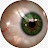 @tactical-funky9565