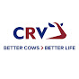 CRV NZ logo