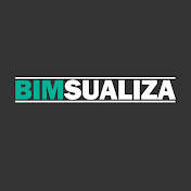 Bimsualiza