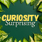CURIOSITY SURPRISING logo